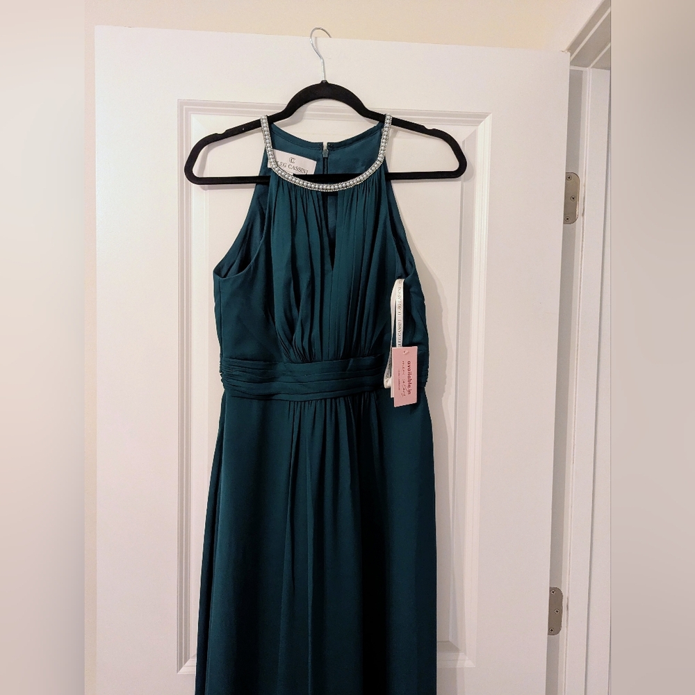 Oleg Cassini Georgette Formal Dress - Picture 5 of 5